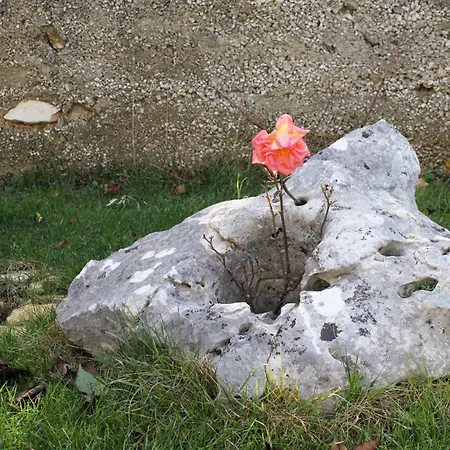 Family Friendly Seaside Vinisce, Trogir - 5946 Apartman